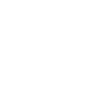 icon product